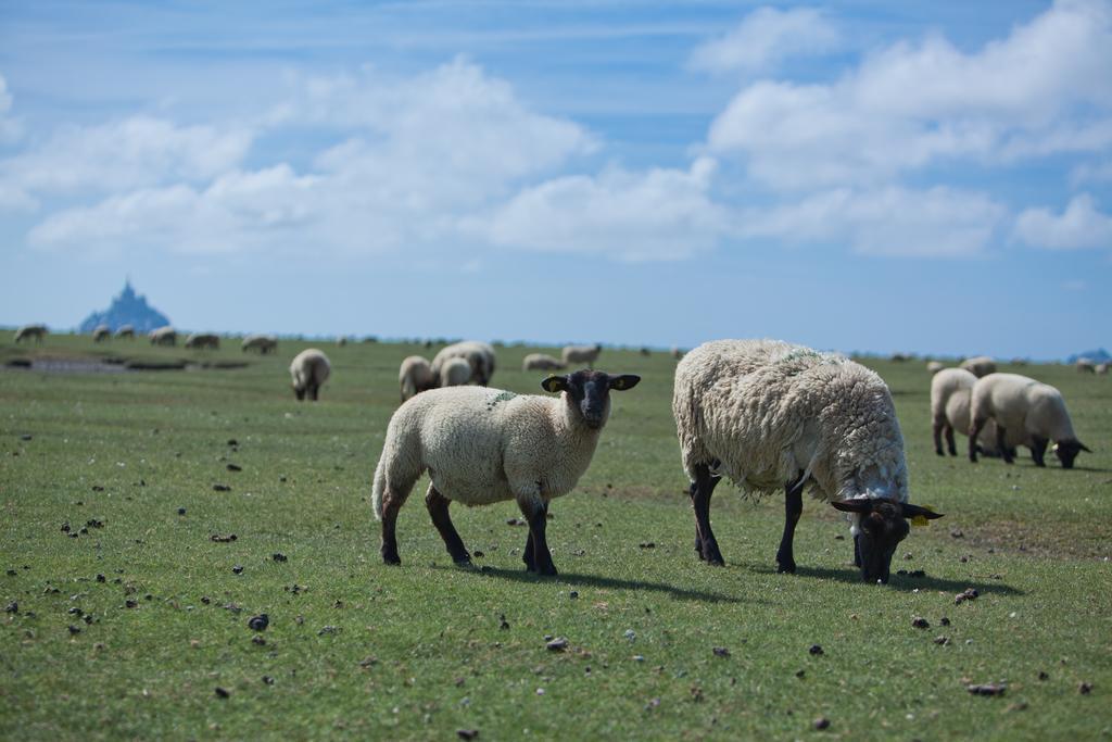 Le Mouton Blanc Hotel Mont-Saint-Michel Екстериор снимка